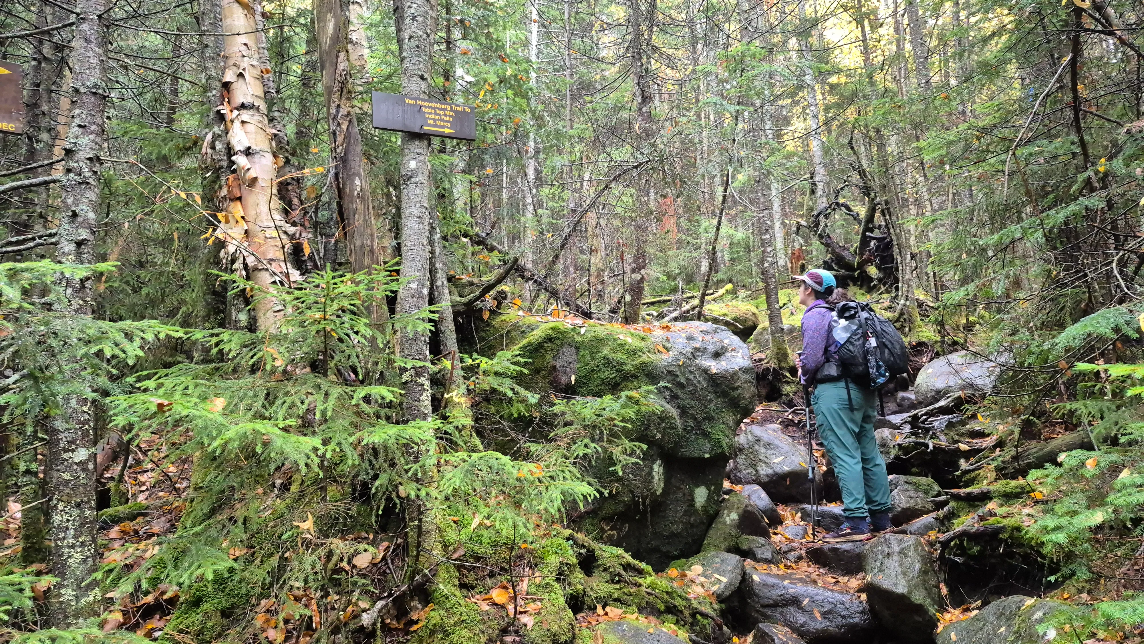 At the Tabletop Junction